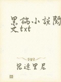 黑锅小说阅读全文txt