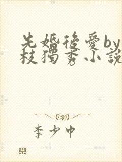 先婚后爱by一枝独秀小说在哪里看