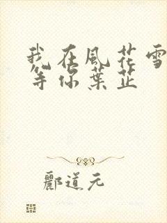 我在风花雪月里等你叶芷