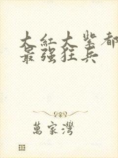 大红大紫都市之最强狂兵