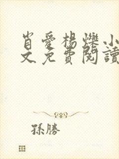 肖爱杨烁小说全文免费阅读最新章节