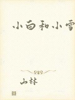 小白和小雪