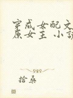 穿成女配文中的原女主 小说封面