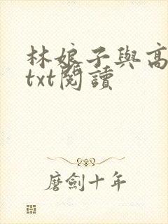 林娘子与高衙内txt阅读
