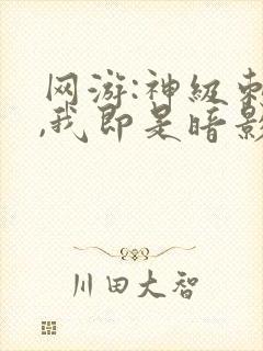 网游:神级刺客,我即是暗影封面