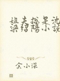 姐夫总是沈嘉琪梁绍阳小说全文免费阅读