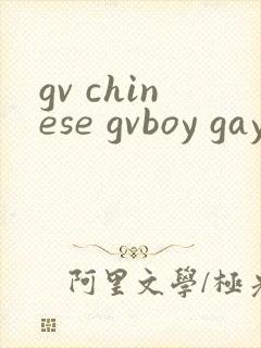 gv chinese gvboy gay tube