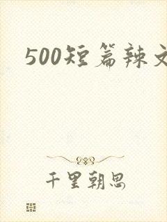 500短篇辣文
