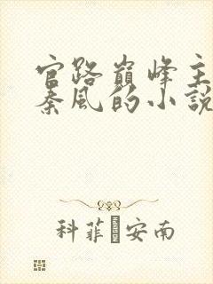 官路巅峰主角叫秦风的小说