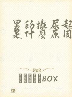 男的撒尿起泡泡是什么原因