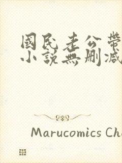 国民老公带回家小说无删减封面