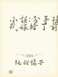 小说:分手后,我嫁给了前男友的小叔封面