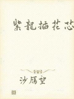 紫龙插花芯封面