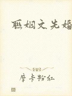 联姻文先婚后爱封面