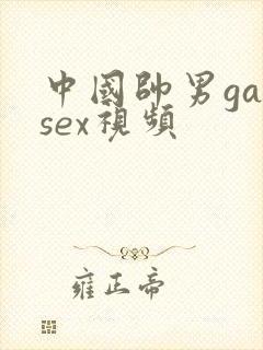 中国帅男gaysex视频封面