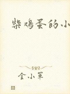 柴鸡蛋的小说封面