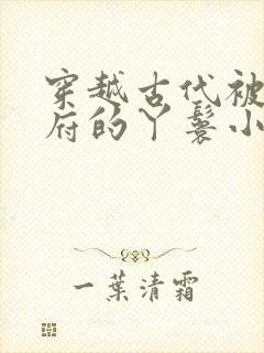 穿越古代被放出府的丫鬟小说