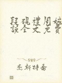 段砚礼周婉琳小说全文免费阅读封面