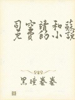 司空靖和苏月汐免费的小说笔趣阁