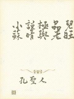 小说极品儿媳妇苏晴与老旺封面