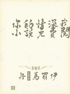 你的情深我不配小说免费阅读全文