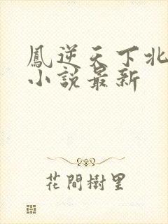 凤逆天下北月篇小说最新封面