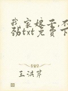 我家娘子,不对劲txt免费下载