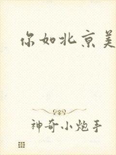 你如北京美丽