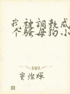 我被调教成了一个骚母狗小说