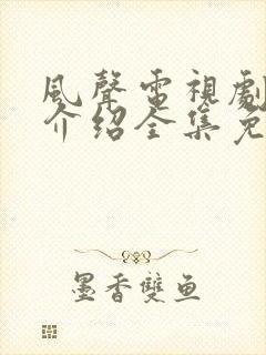 风声电视剧剧情介绍全集免费观看