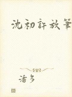 沈初许放笔趣阁