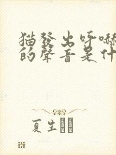 猫发出呼哧呼哧的声音是什么原因