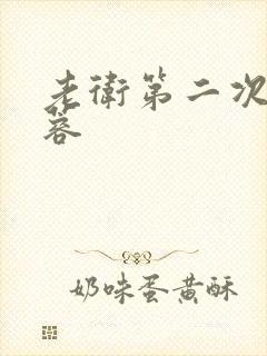 老卫第二次玩淑蓉封面