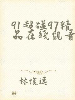 91超碰97精品在线观看