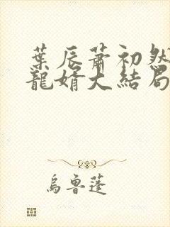 叶辰萧初然上门龙婿大结局