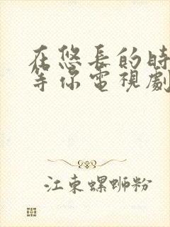 在悠长的时光里等你电视剧免费观看封面