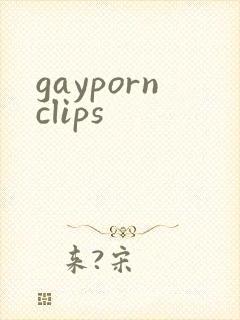 gaypornclips