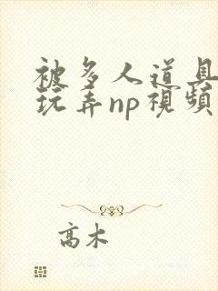 被多人道具调教玩弄np视频