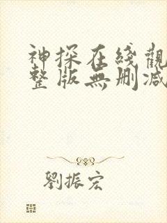 神探在线观看完整版无删减