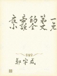 夜帝的第一狂妃小说全文免费阅读