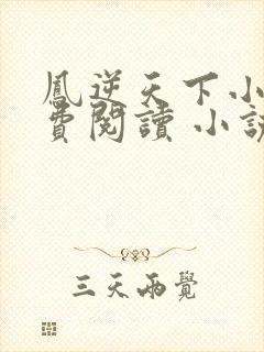 凤逆天下小说免费阅读 小说