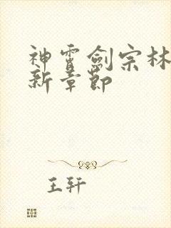 神霄剑宗林枫最新章节