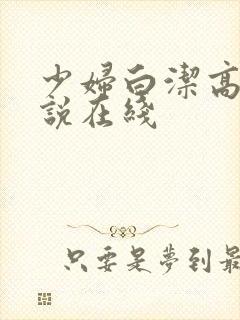 少妇白洁高义小说在线