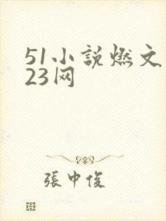 51小说燃文123网