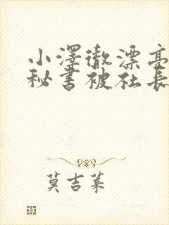 小泽彻漂亮人妻秘书被社长侵犯