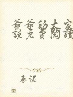 爷爷的大家伙小说免费阅读