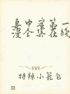 妻中蜜第一季动漫全集在线观看封面