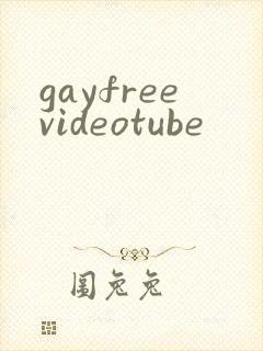 gayfreevideotube