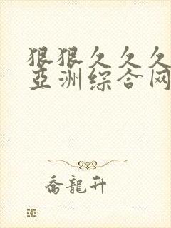 狠狠久久久久久亚洲综合网