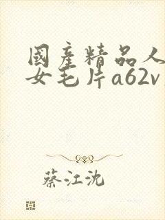 国产精品人妻熟女毛片a62v久久